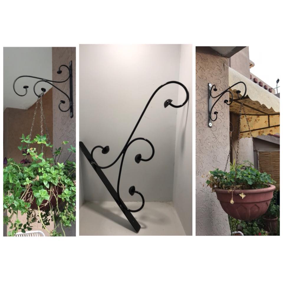 Plants Hanging Stands