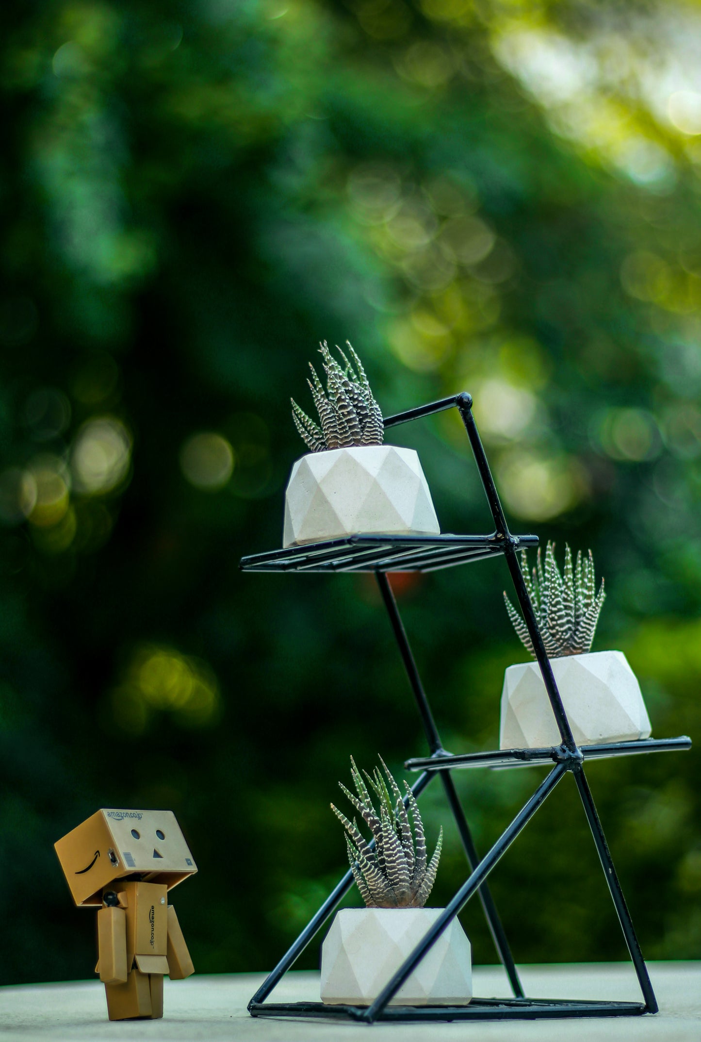 Geometric pots with Iron Stand