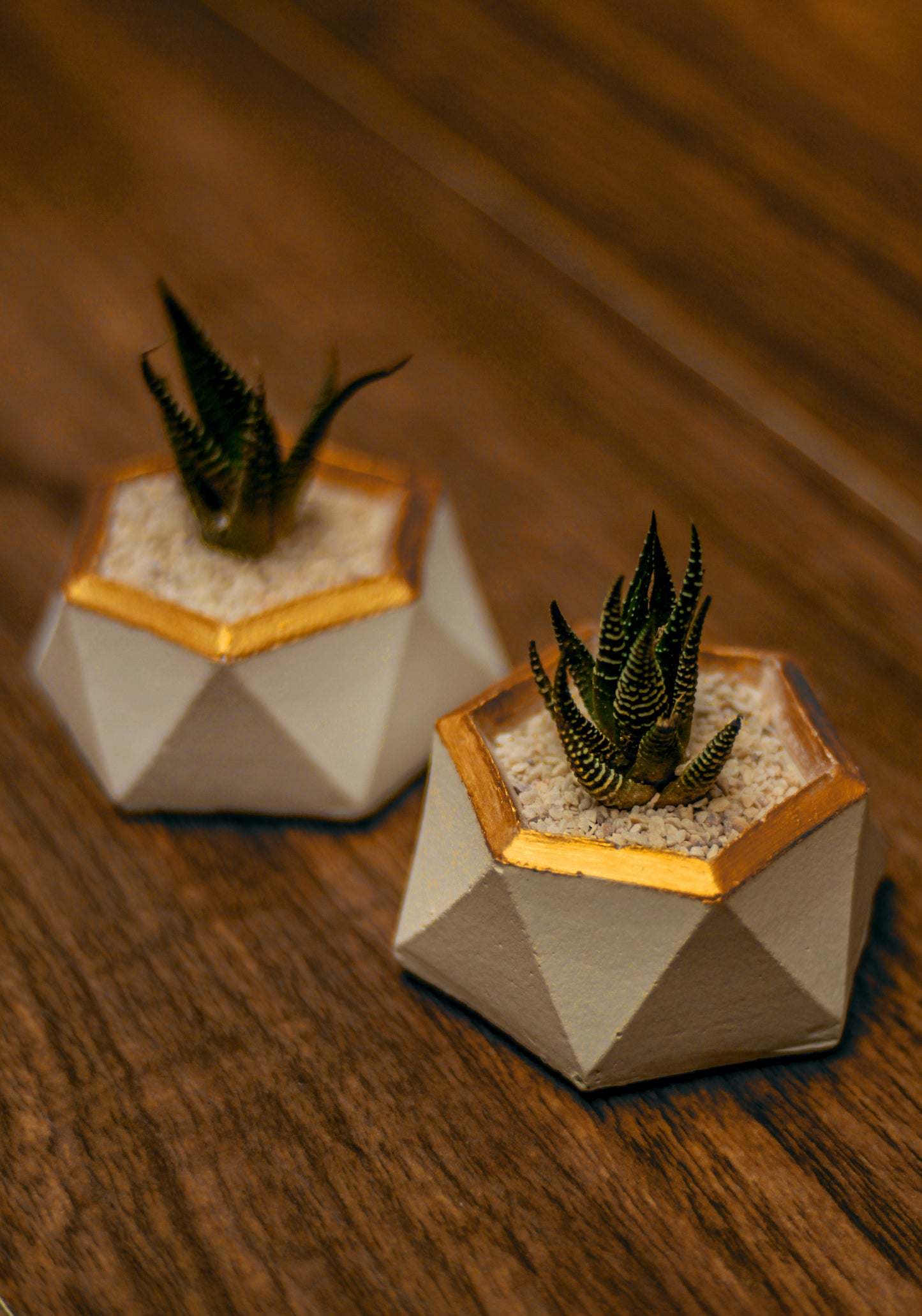 Gold lined mini Geometric Pots