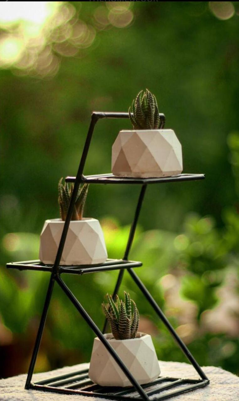 Geometric pots with Iron Stand