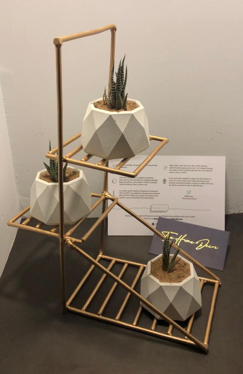 Geometric pots with Iron Stand