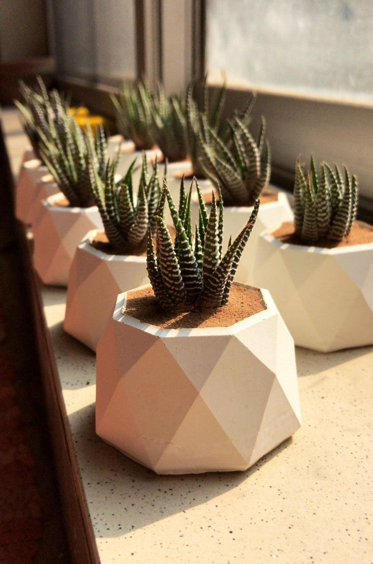 Mini Geometric Pot