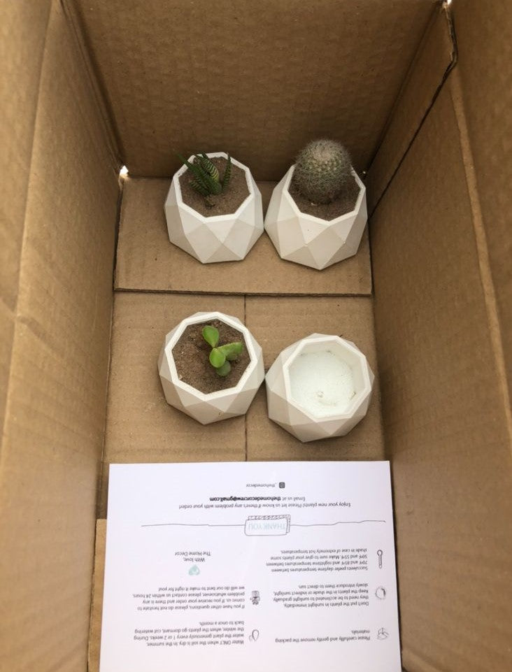 Mini Geometric Pot