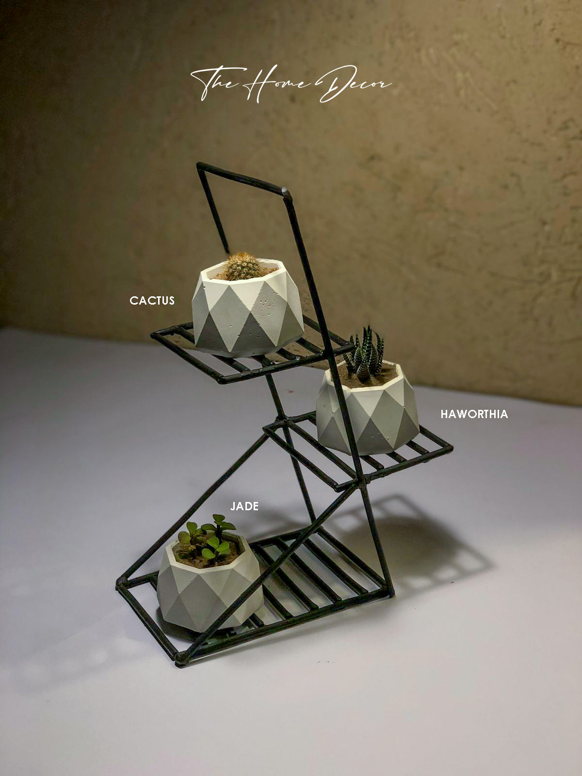 Geometric pots with Iron Stand