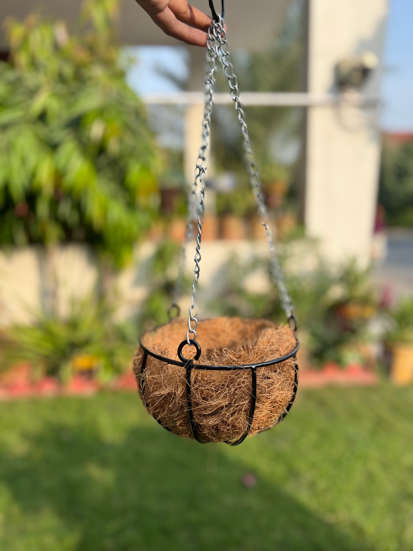 Iron Cage Hanging Baskets