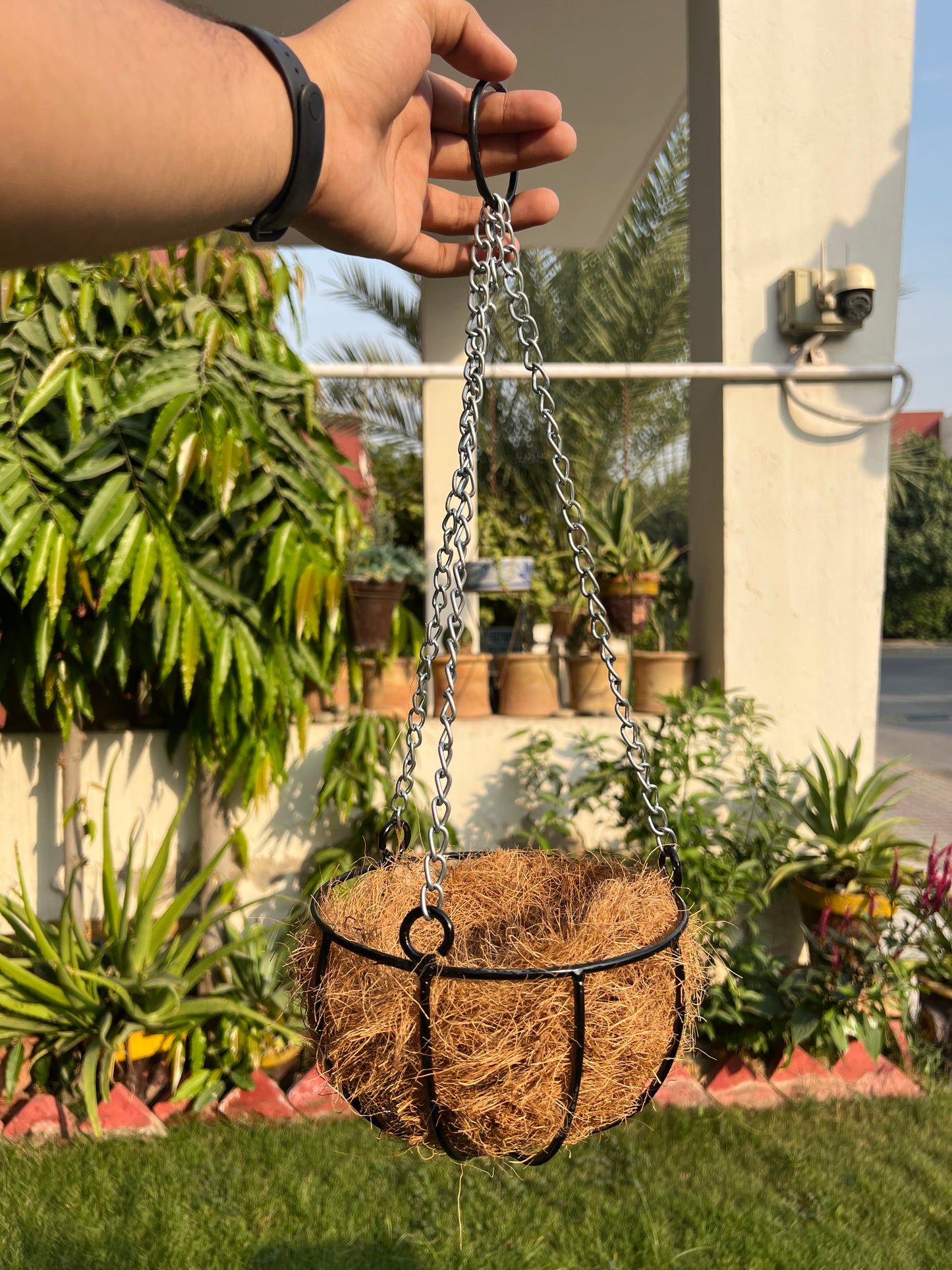 Iron Cage Hanging Baskets