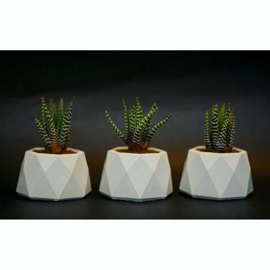 Mini Geometric Pot